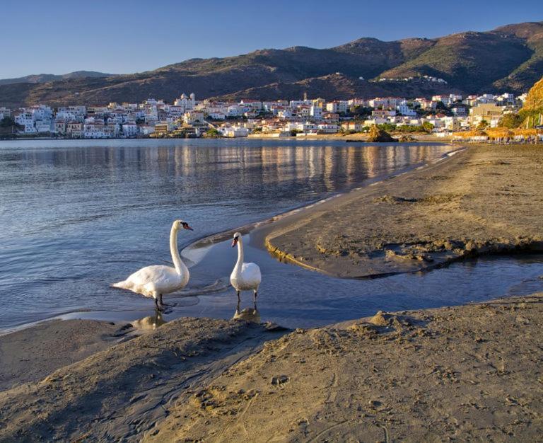 Πλατανακι 1 Family Friendly Villa Ándros Eksteriør bilde